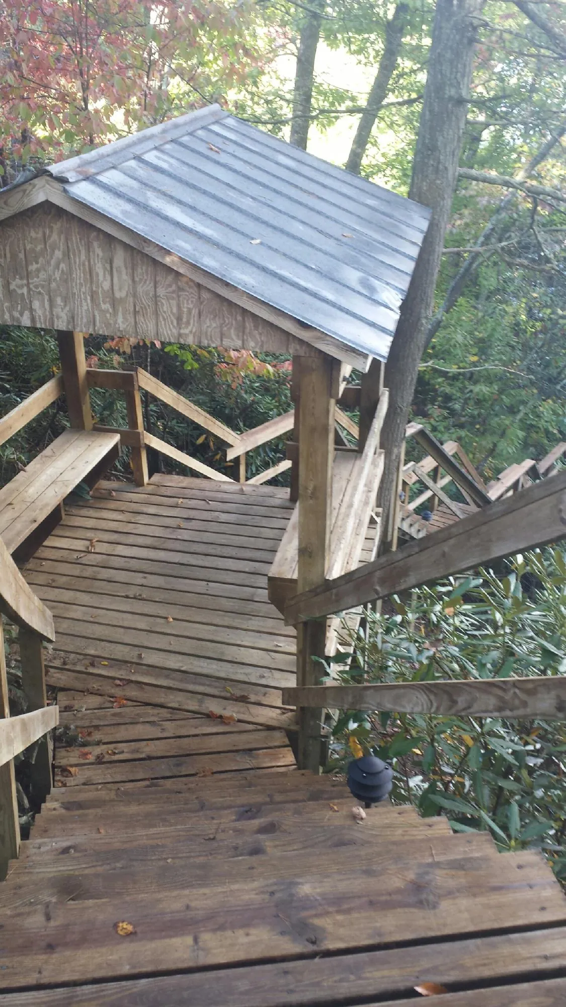 Metal roofed shelter over wooden steps on a wooded walkway — Skylight Repair & Installation work by our crew in Saint Anthony
