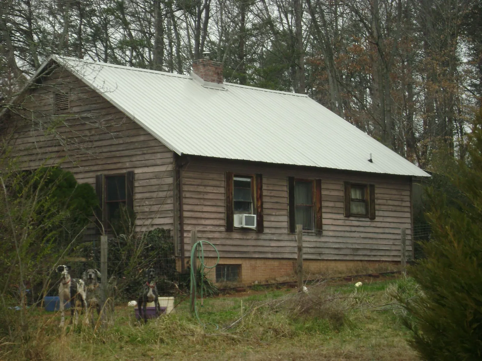 White metal roof on an old wood sided farmhouse, from a Asphalt Shingle Roof Repair job in Saint Anthony